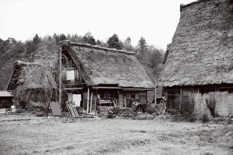 草屋原始古朴的世外居所