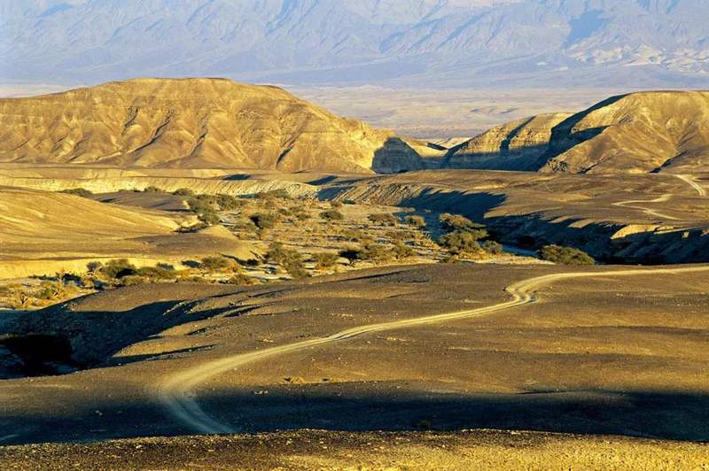 世界热爱香料香料改变世界