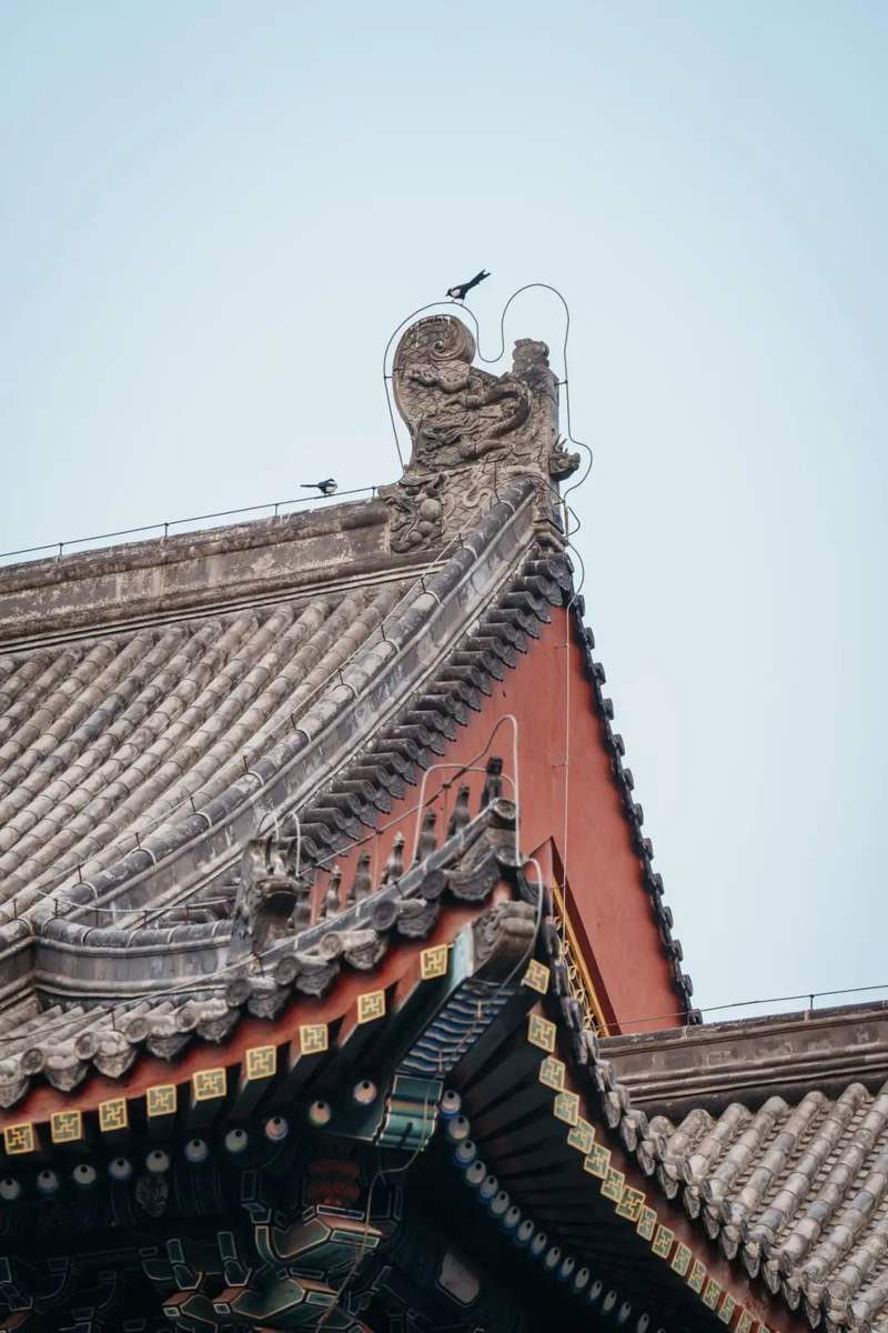 壁纸 城楼 旅游 800_1200 竖版 竖屏 手机