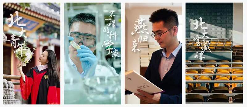 看北大同学春节做啥了作文素材1