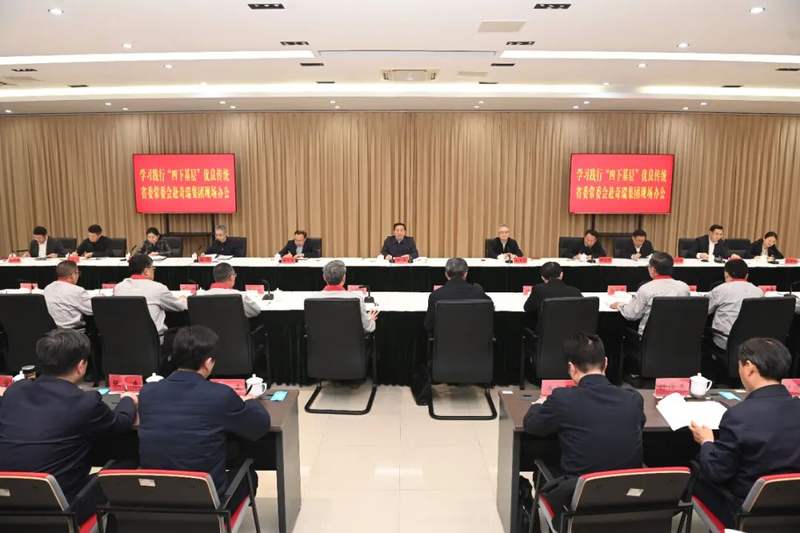 详讯来了安徽省委常委会来芜湖为奇瑞现场办公