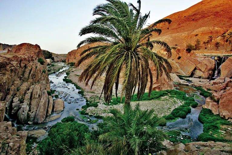 足球被这个国家的男人们深爱,他们的国家队曾经在1990年获得非洲国家