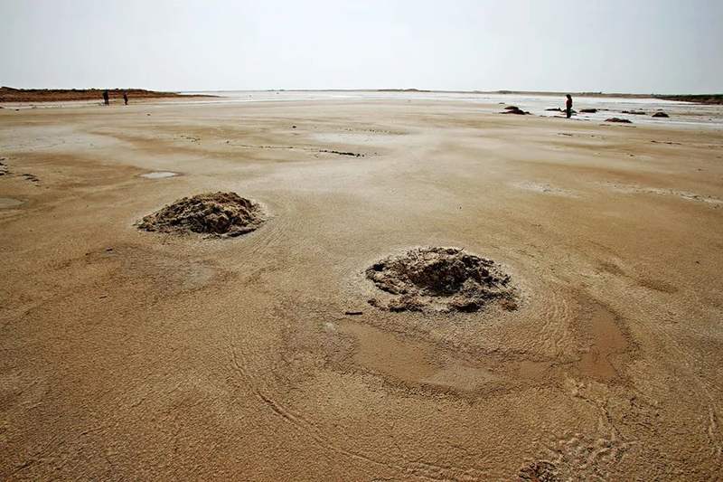 撒哈拉沙漠中的低碳之城