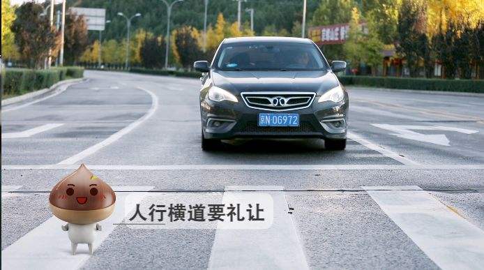 规范行车树文明之风