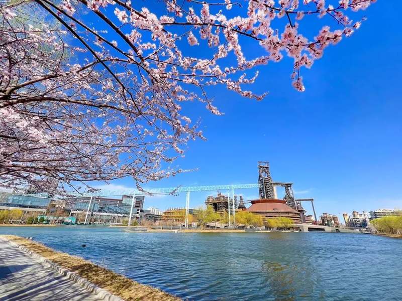 北京正式入春石景山春日氛围拉满