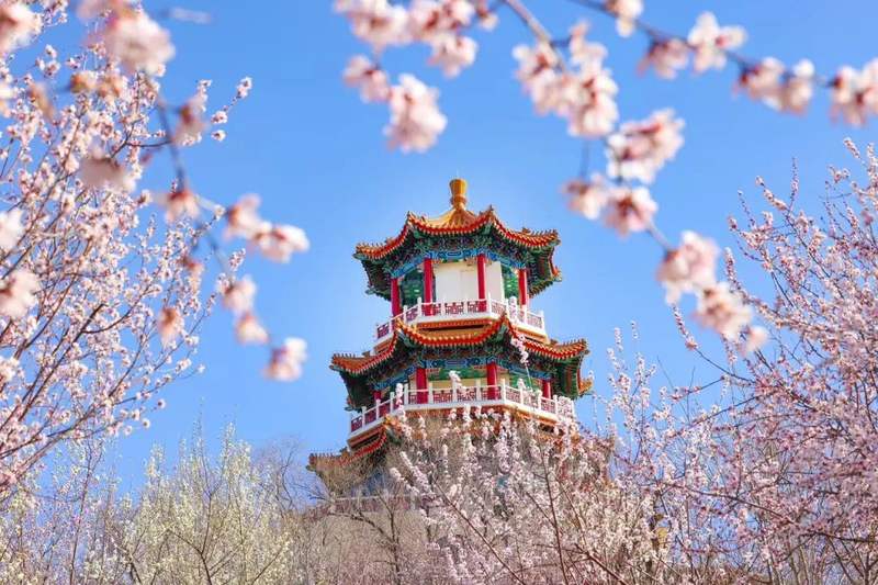 北京正式入春石景山春日氛围拉满