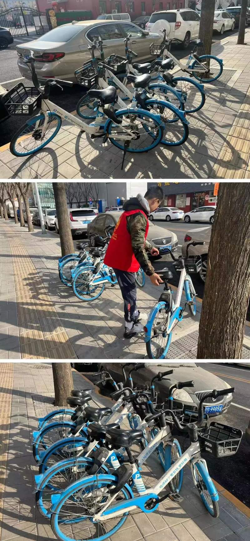 基层动态青少年义工变身共享单车文明摆放引导员