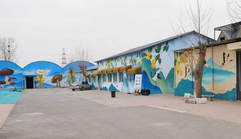 乡村振兴菌菇飘香李桥镇走出富民兴村的特色产业路