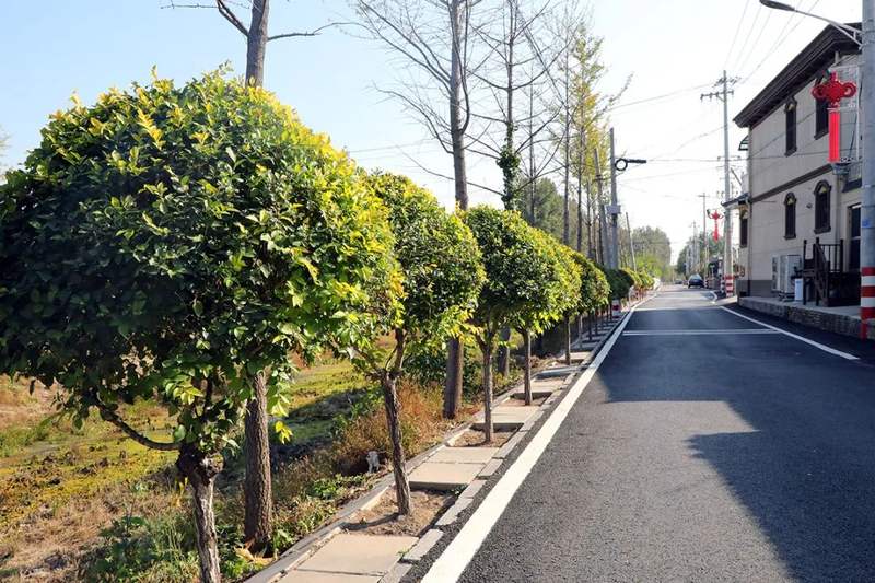 平原新城第一顺义农村人居环境整治成效显著