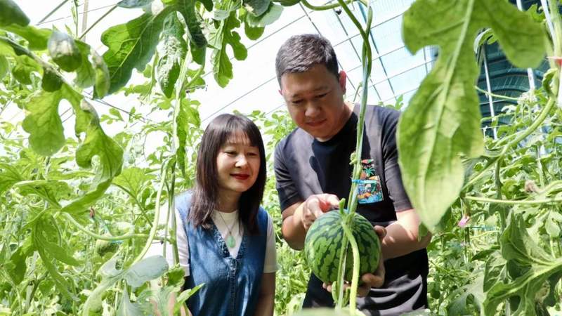 【郝记者讲好故事】振兴梦想家种出"希望之瓜">北京大兴>2024-05