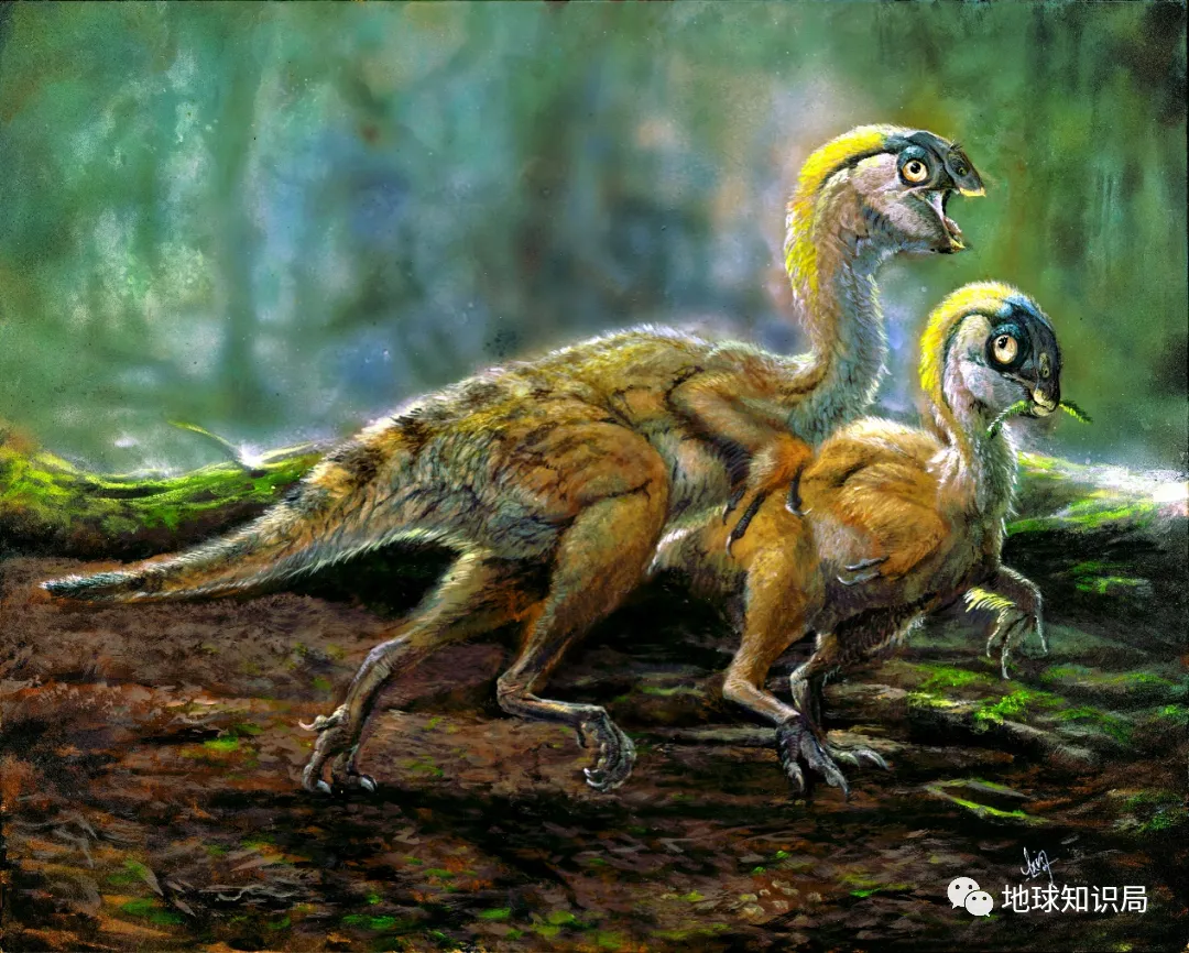 恐龙王朝进化的赢家图片