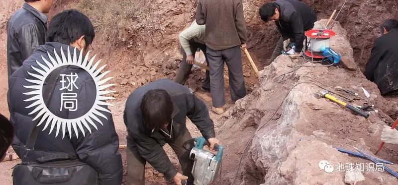 河南发现大宝贝,真中!