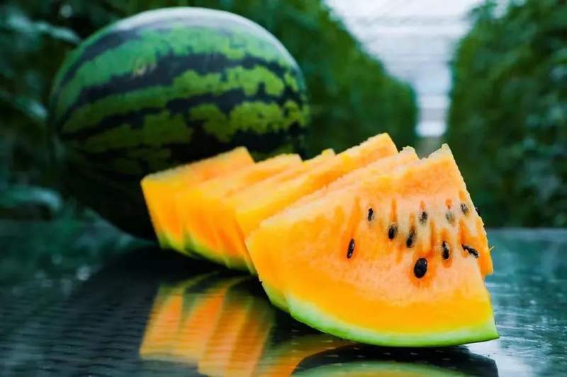 永兴缘内品尝"七味瓜"