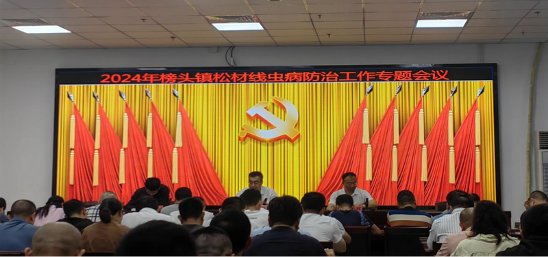 榜头镇:凝心聚力 打好松材线虫防控"攻坚战"