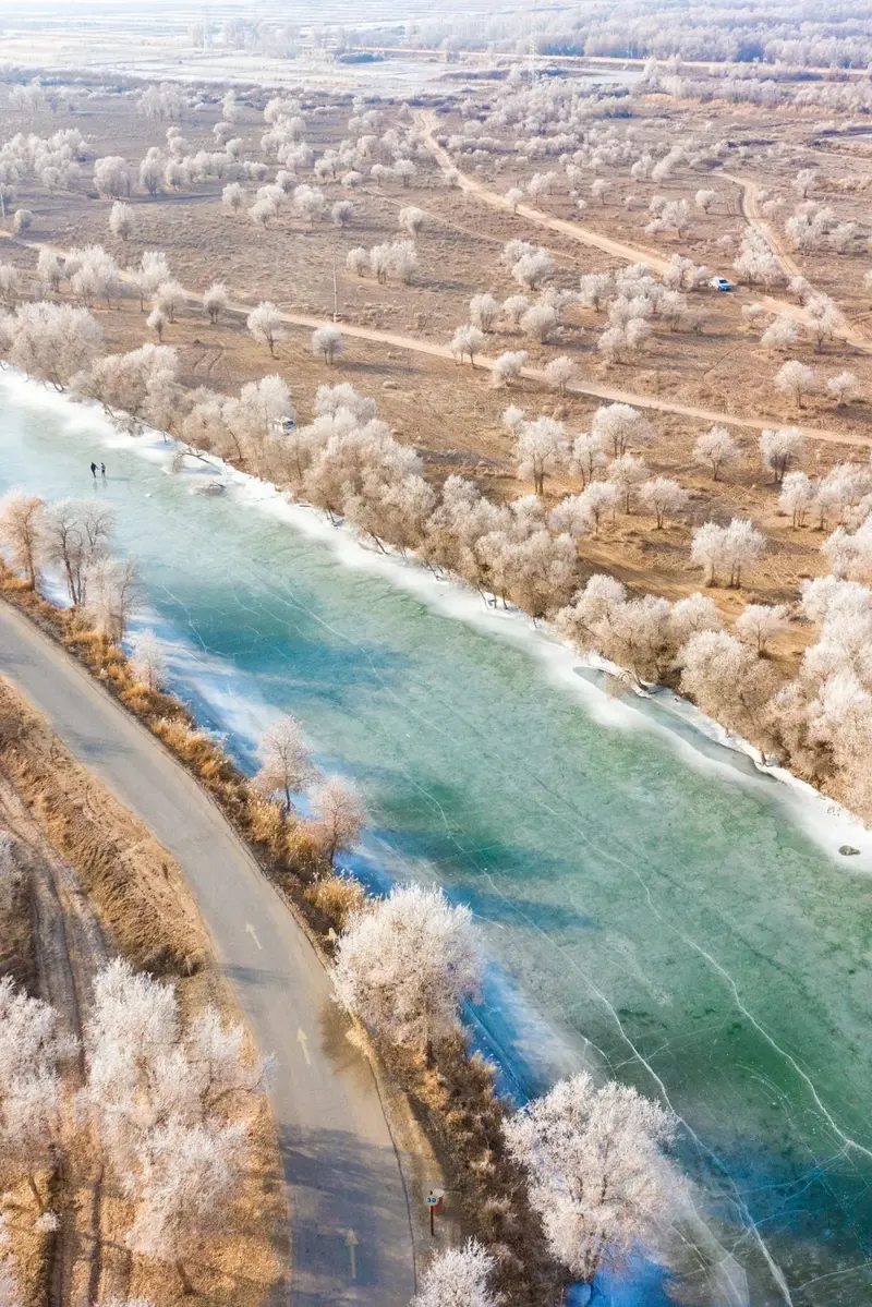 新疆不能没有塔里木河!
