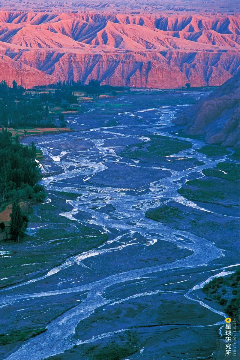 新疆不能没有塔里木河!