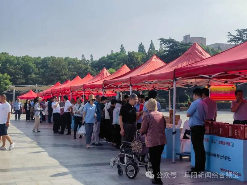 阜阳清河广场,正式启动!