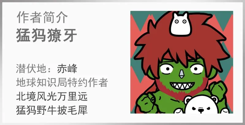 山东发现大宝贝!