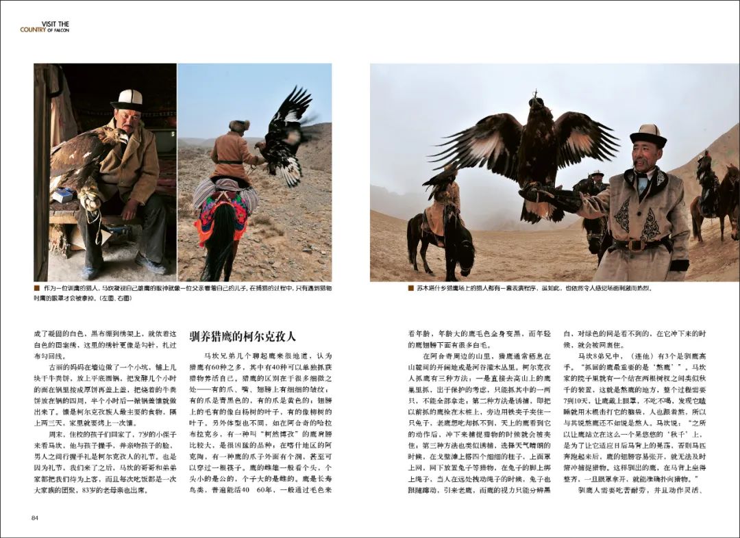 中国猎鹰之乡图片