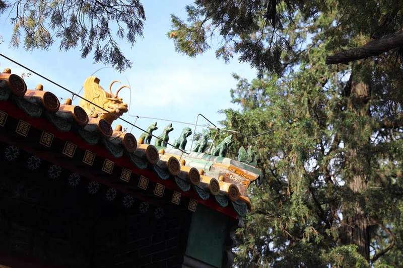 绿荫掩映下的元圣宫.