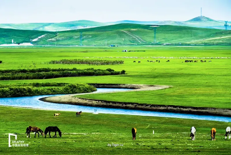 自驾活动丨这条沿g331出发的呼伦贝尔环线,太经典!