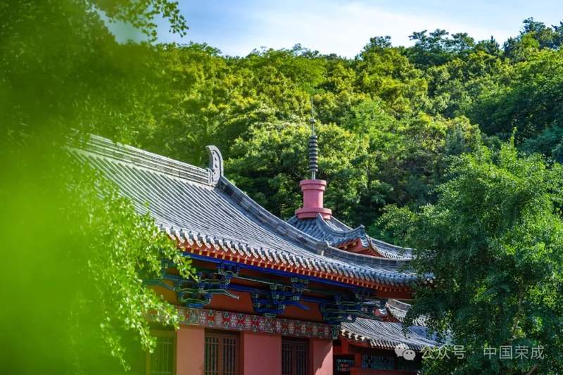 入选中国"滨海避暑消夏好去处"!>荣成融媒>2024-08-211041>800_533