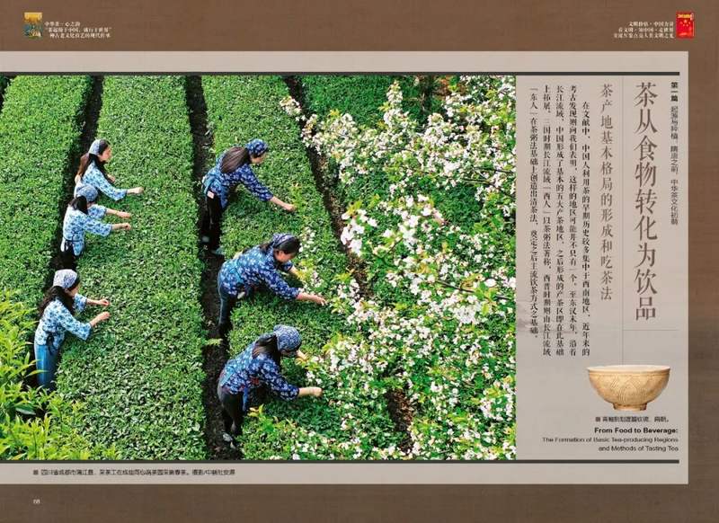 茶从食物转化为饮品：茶产地基本格局的形成和吃茶法